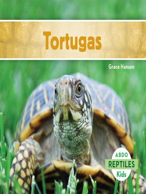 cover image of Tortugas (Turtles) (Spanish Version)